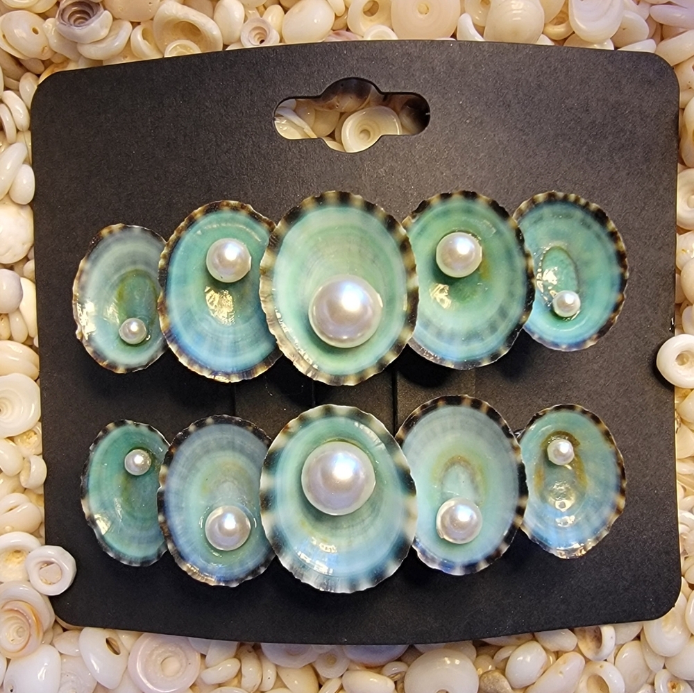 2 1/2" Mexican Aqua Limpet Shells with Swarovski White Pearls Barrettes Set
